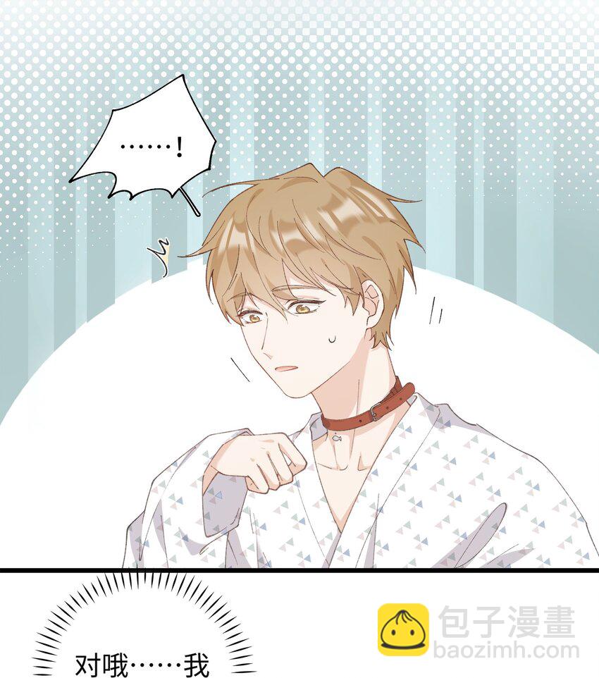 033 说出来你可能不信，我的猫变人了-第33话