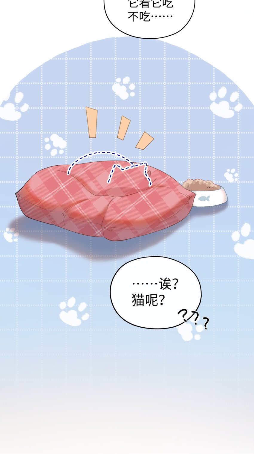 005 猫猫回家乐-第5话