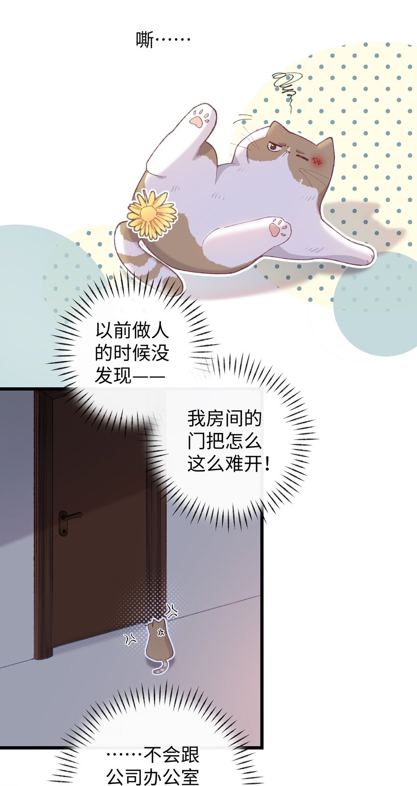 005 猫猫回家乐-第5话