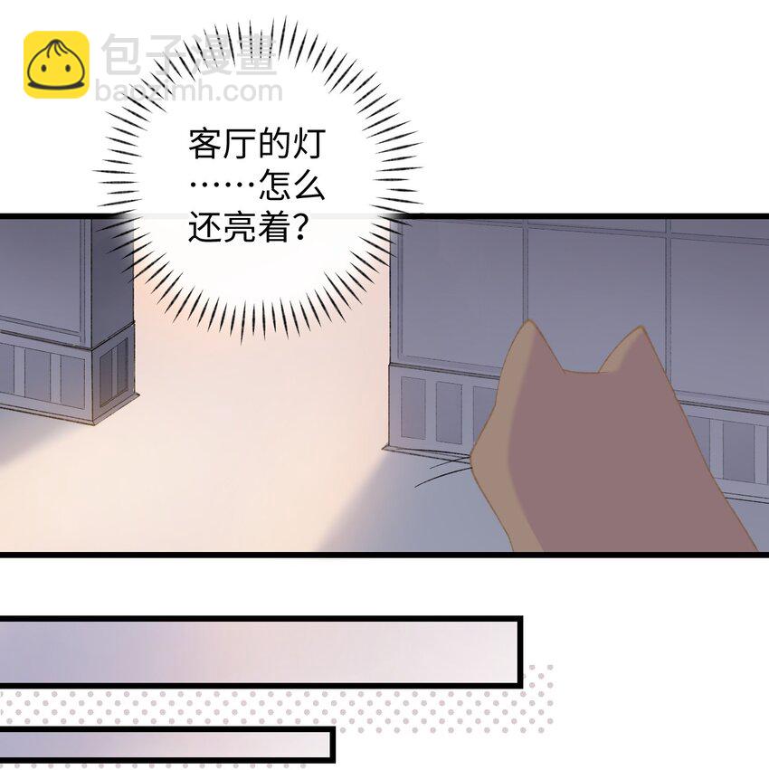 005 猫猫回家乐-第5话