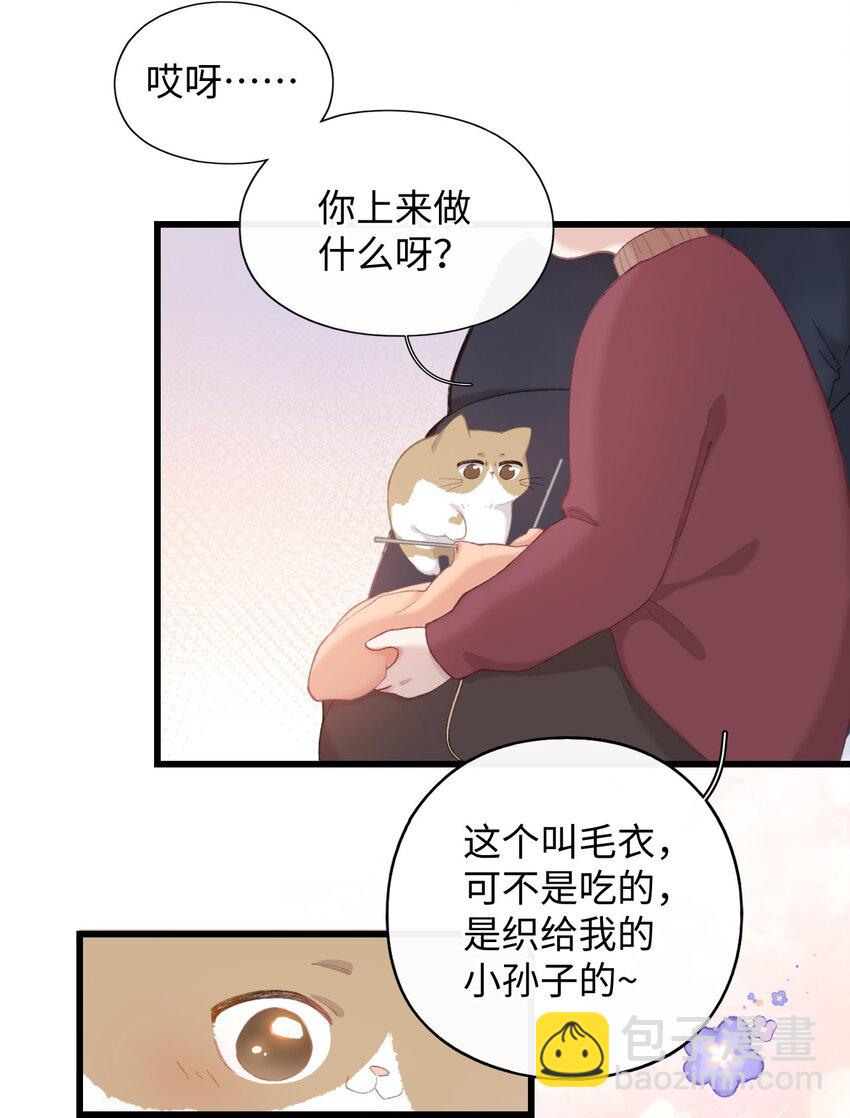 005 猫猫回家乐-第5话