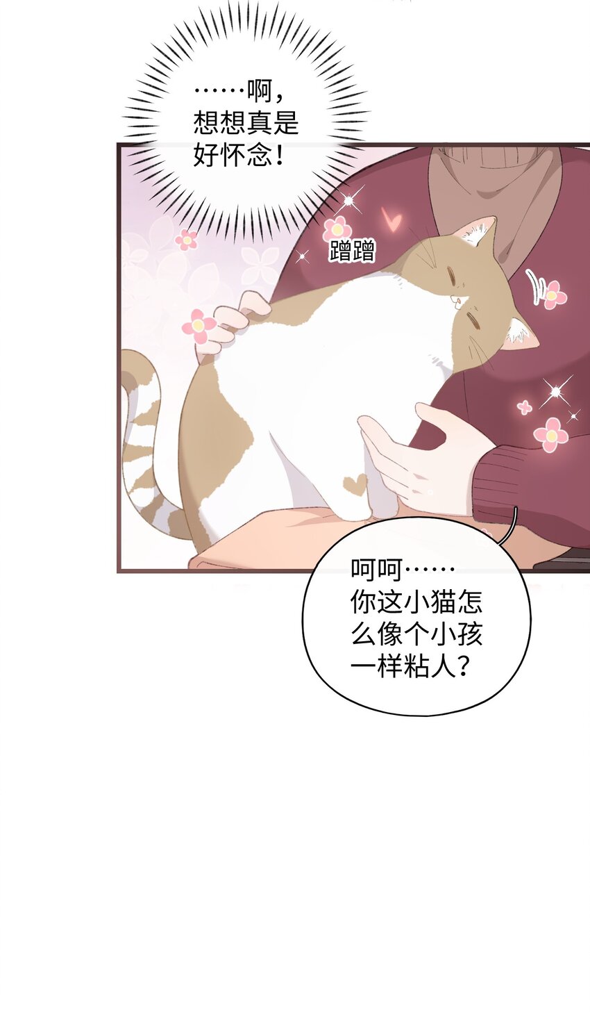 005 猫猫回家乐-第5话