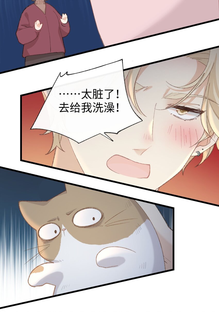 005 猫猫回家乐-第5话