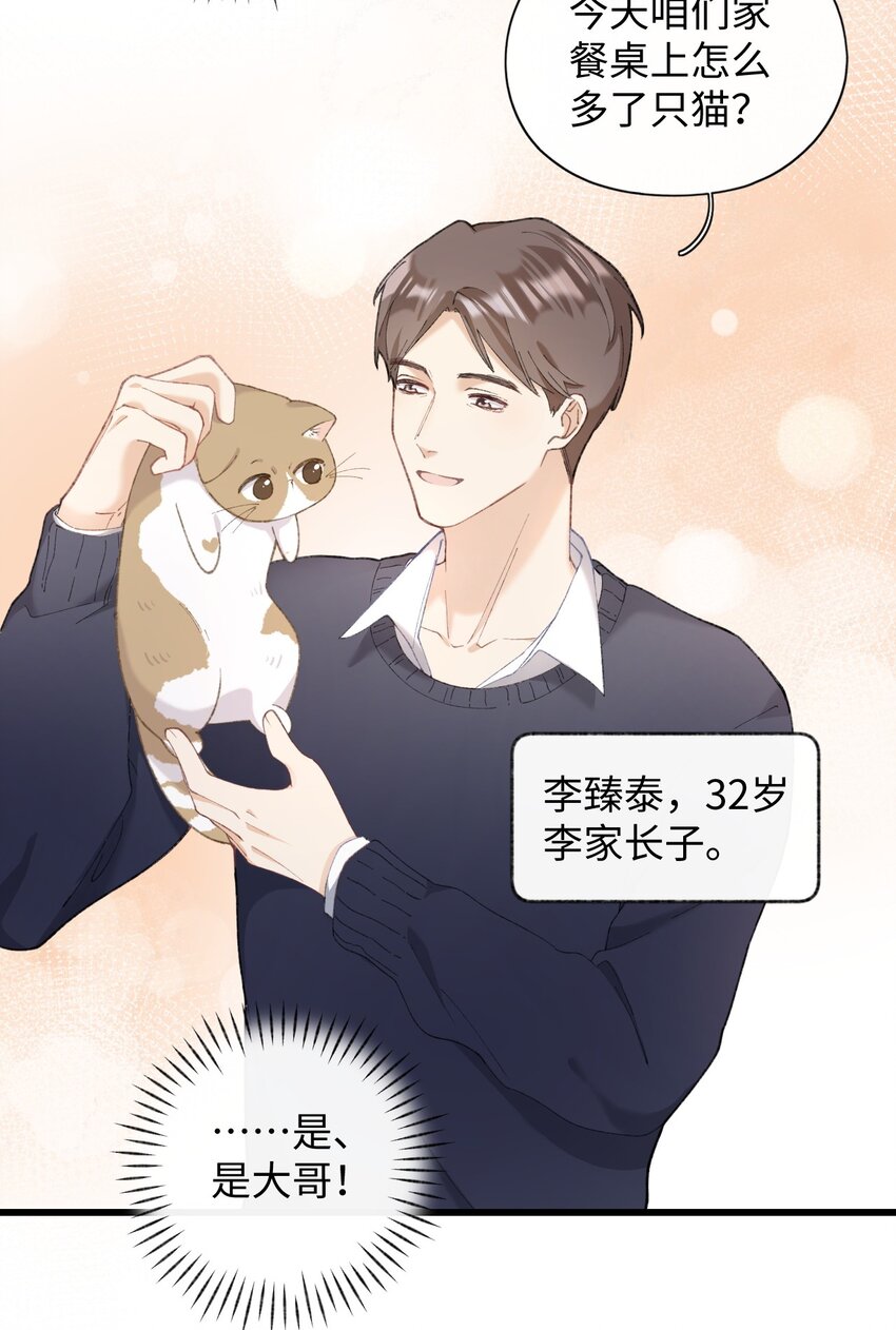 005 猫猫回家乐-第5话