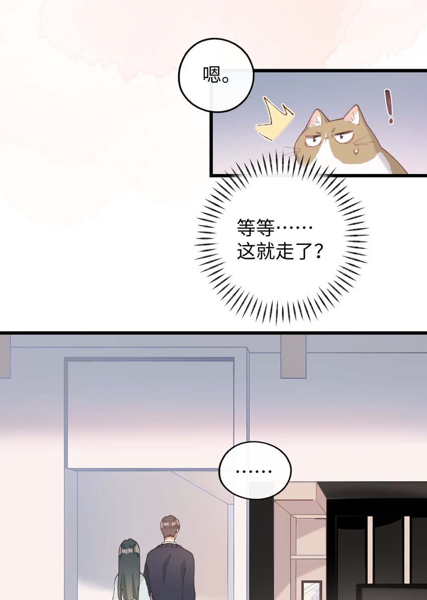 009 猫猫翻大车(1/2)-第9话