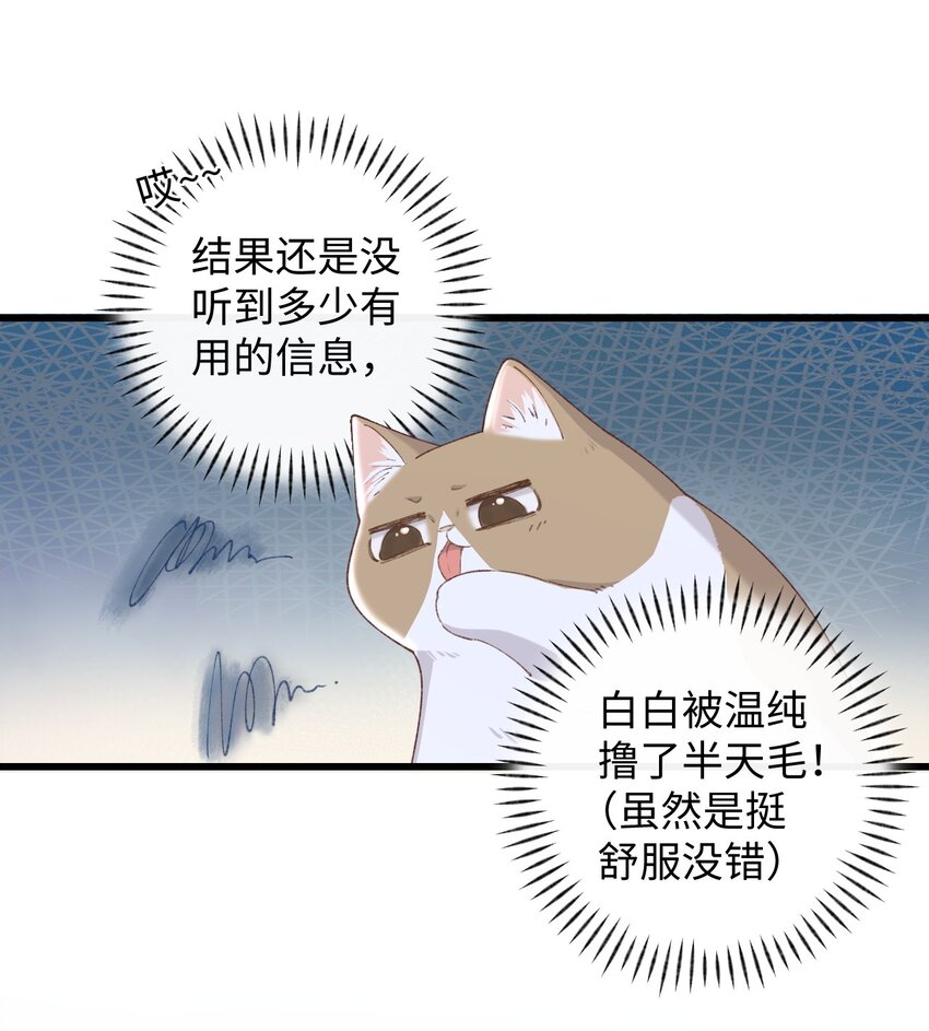 009 猫猫翻大车(1/2)-第9话