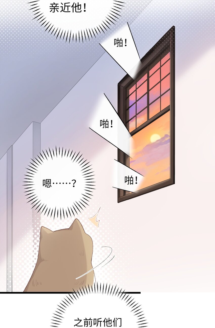 009 猫猫翻大车(1/2)-第9话