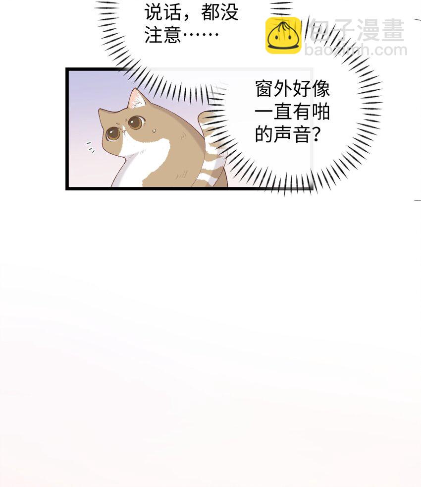 009 猫猫翻大车(1/2)-第9话
