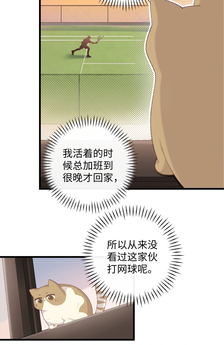 009 猫猫翻大车(1/2)-第9话