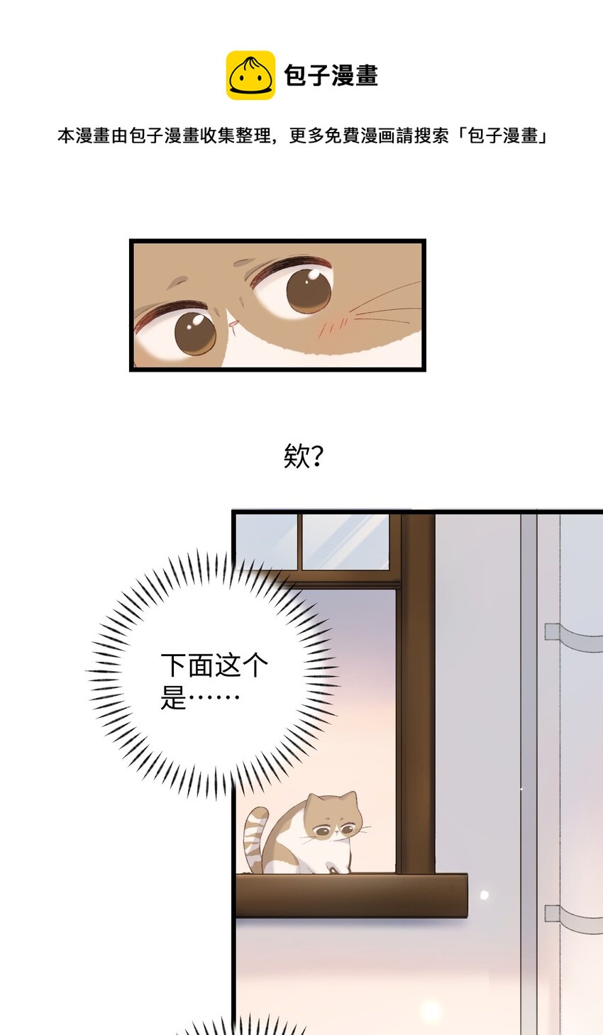 009 猫猫翻大车(1/2)-第9话