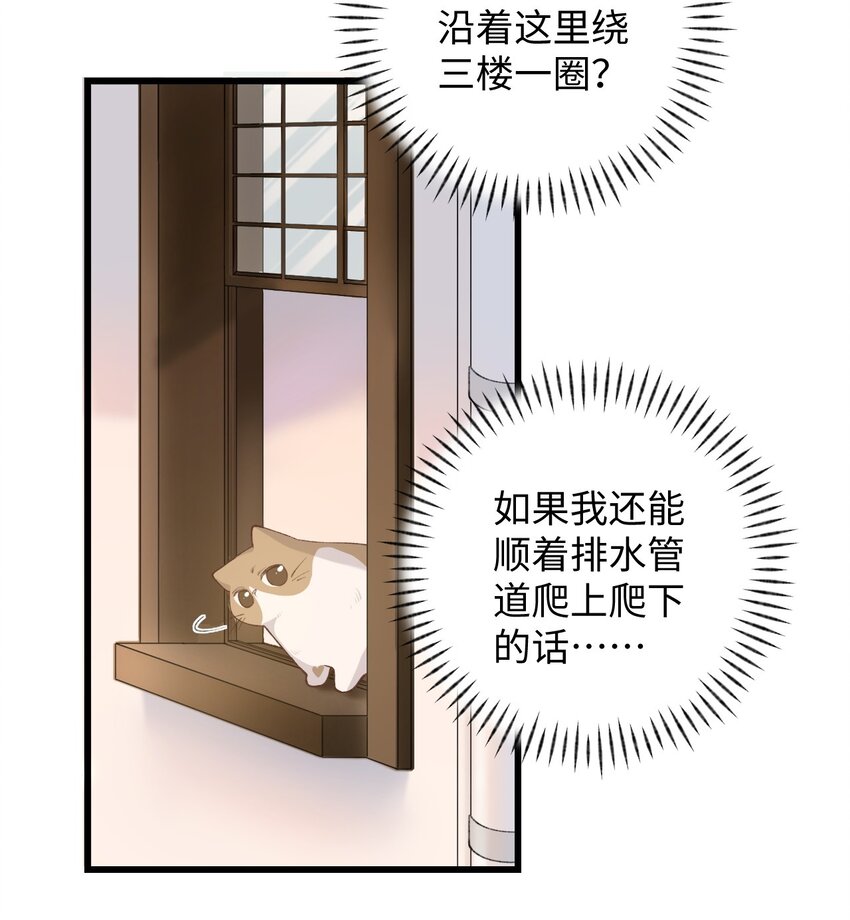 009 猫猫翻大车(1/2)-第9话