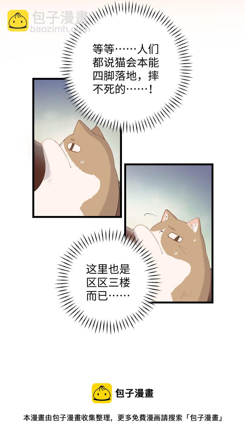 009 猫猫翻大车(1/2)-第9话