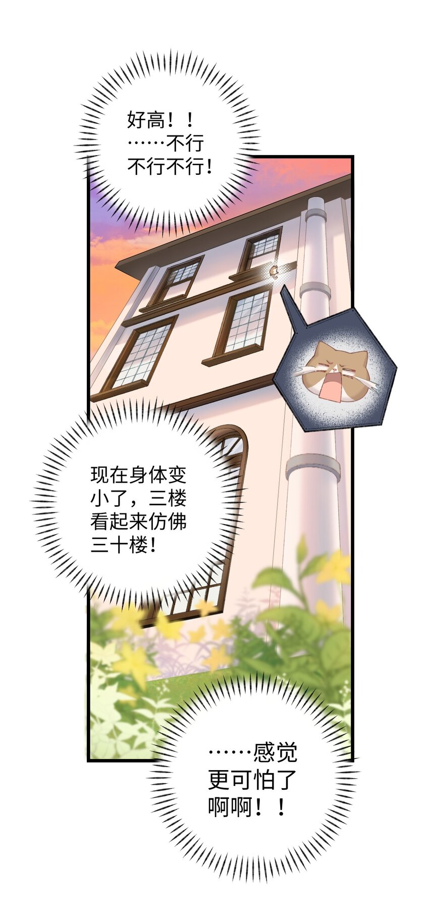 009 猫猫翻大车(1/2)-第9话