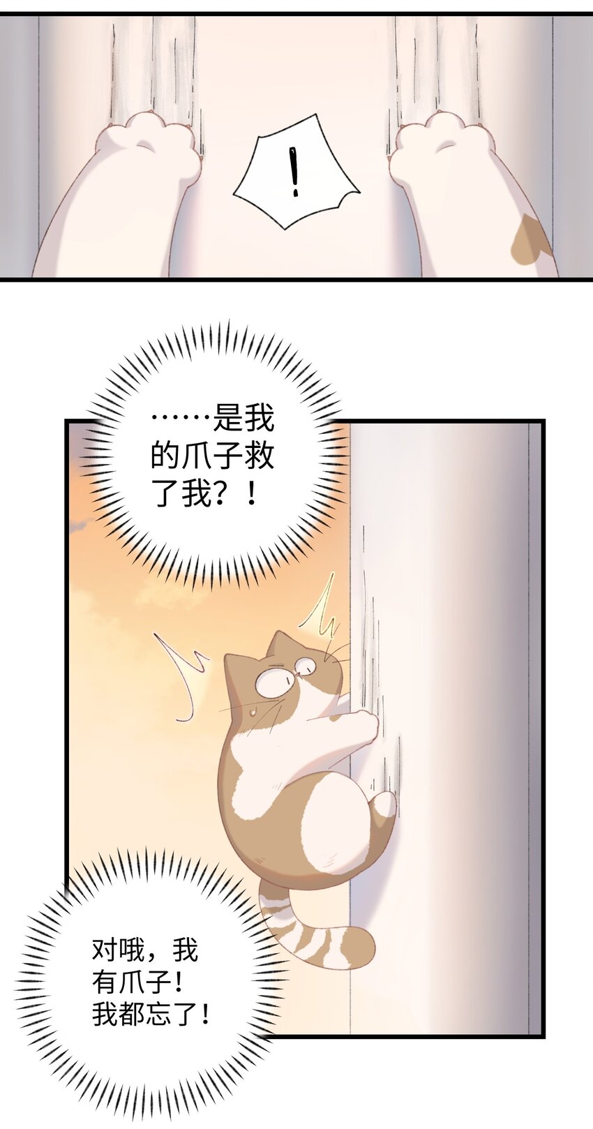 009 猫猫翻大车(1/2)-第9话