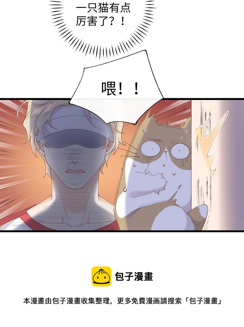 009 猫猫翻大车(1/2)-第9话