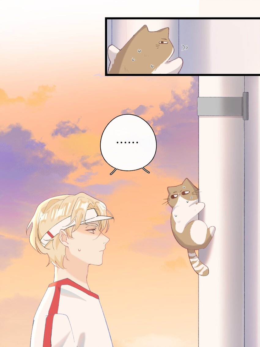 009 猫猫翻大车(1/2)-第9话