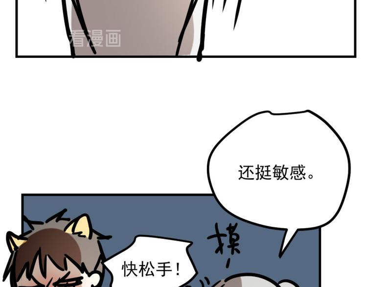 小虎番外(1/2)-第73话