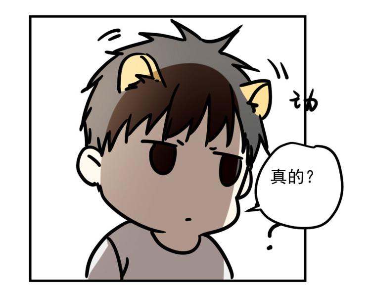 小虎番外(1/2)-第73话