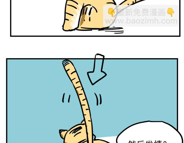 小虎番外(1/2)-第73话