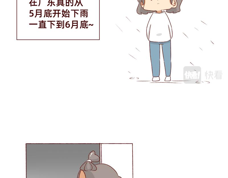 🍴加零的漫画日记 不知道为什么这么多雨下~ 第3页