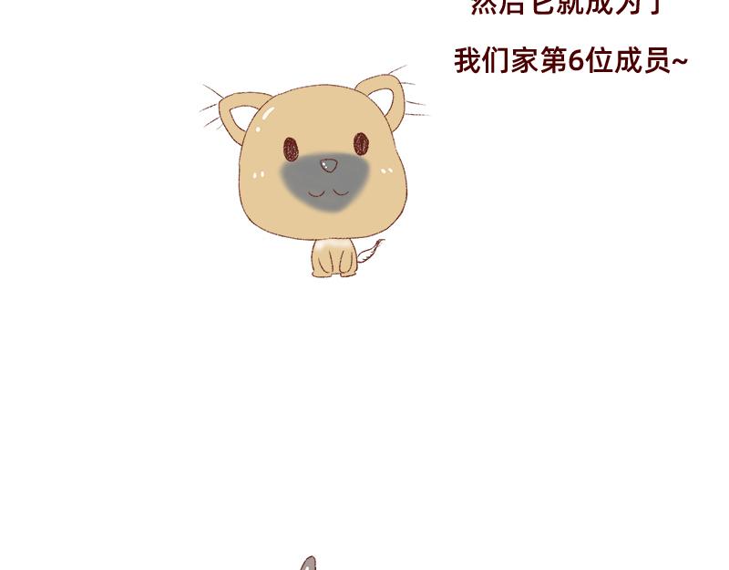 🍴加零的漫画日记 双11我家来了条单身狗 第11页