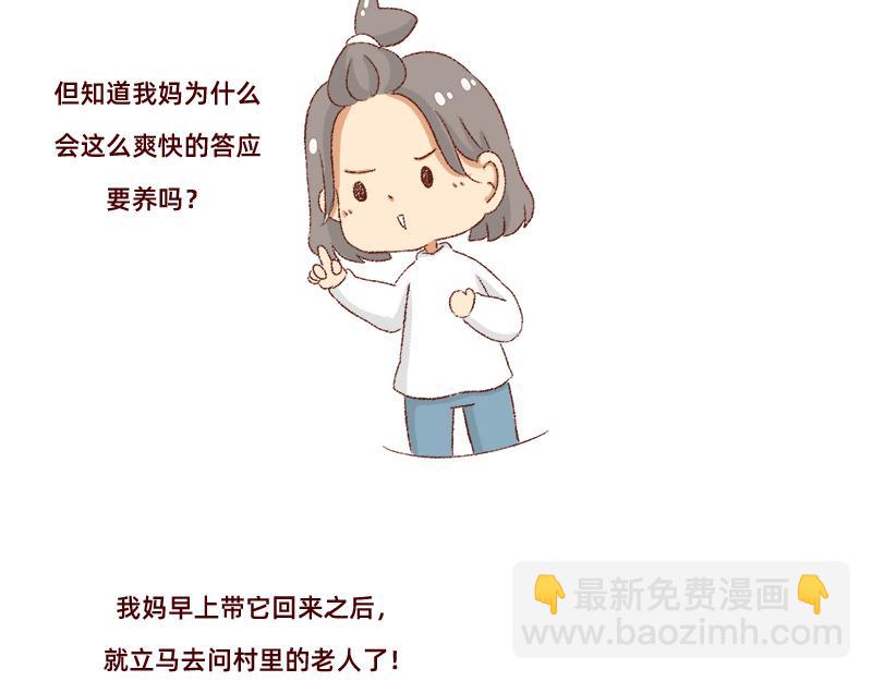 🍴加零的漫画日记 双11我家来了条单身狗 第12页