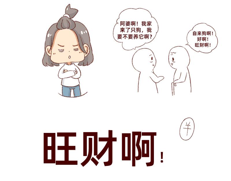 🍴加零的漫画日记 双11我家来了条单身狗 第13页