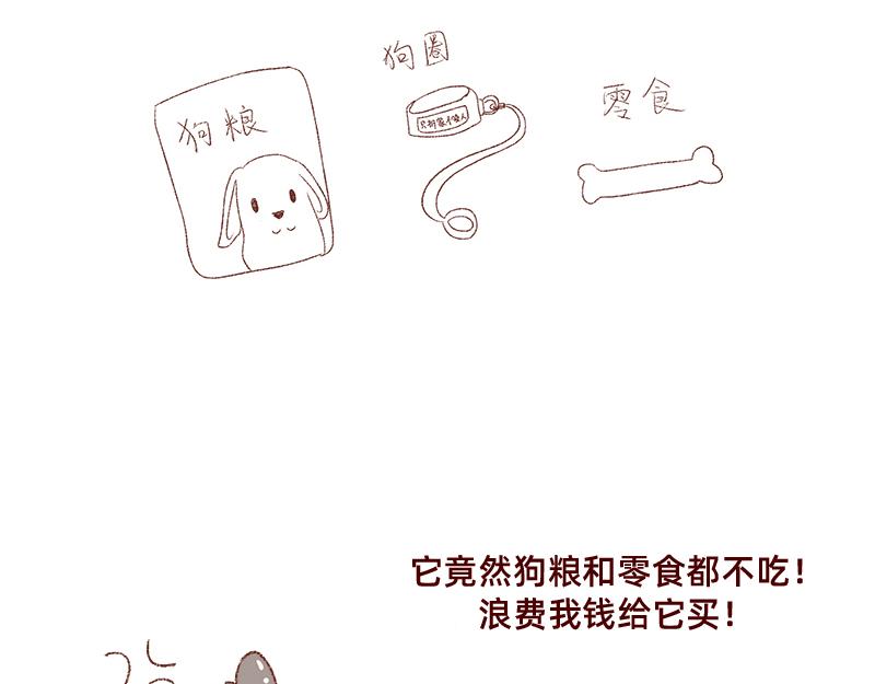 🍴加零的漫画日记 双11我家来了条单身狗 第15页