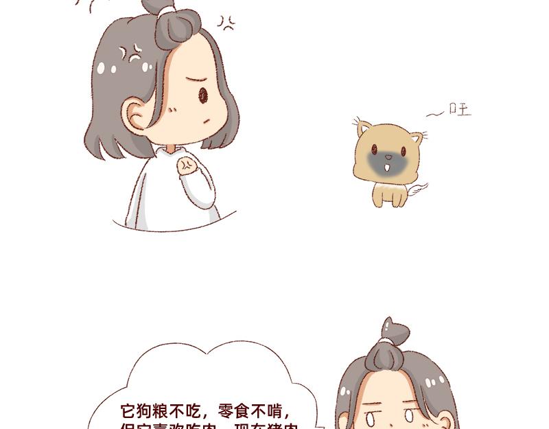 🍴加零的漫画日记 双11我家来了条单身狗 第16页