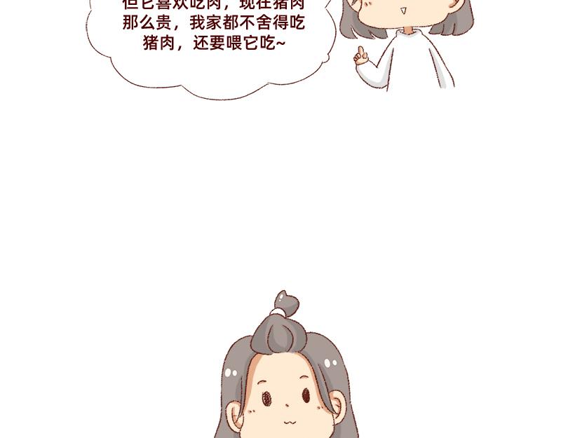 🍴加零的漫画日记 双11我家来了条单身狗 第17页
