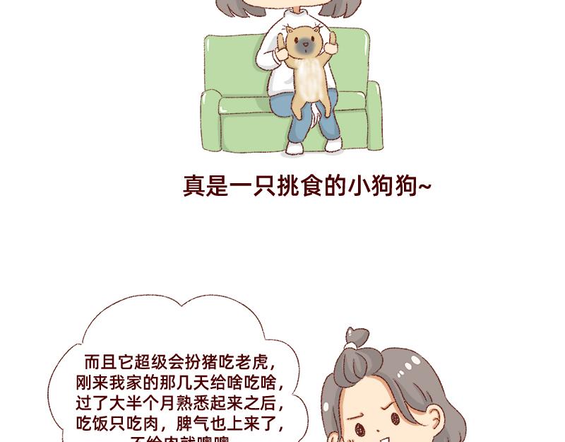 🍴加零的漫画日记 双11我家来了条单身狗 第18页