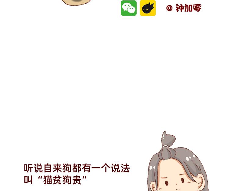 🍴加零的漫画日记 双11我家来了条单身狗 第2页