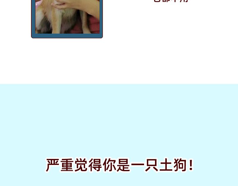 🍴加零的漫画日记 双11我家来了条单身狗 第20页