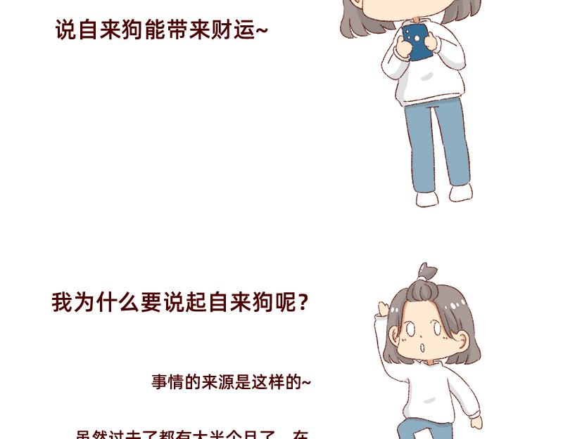 🍴加零的漫画日记 双11我家来了条单身狗 第3页