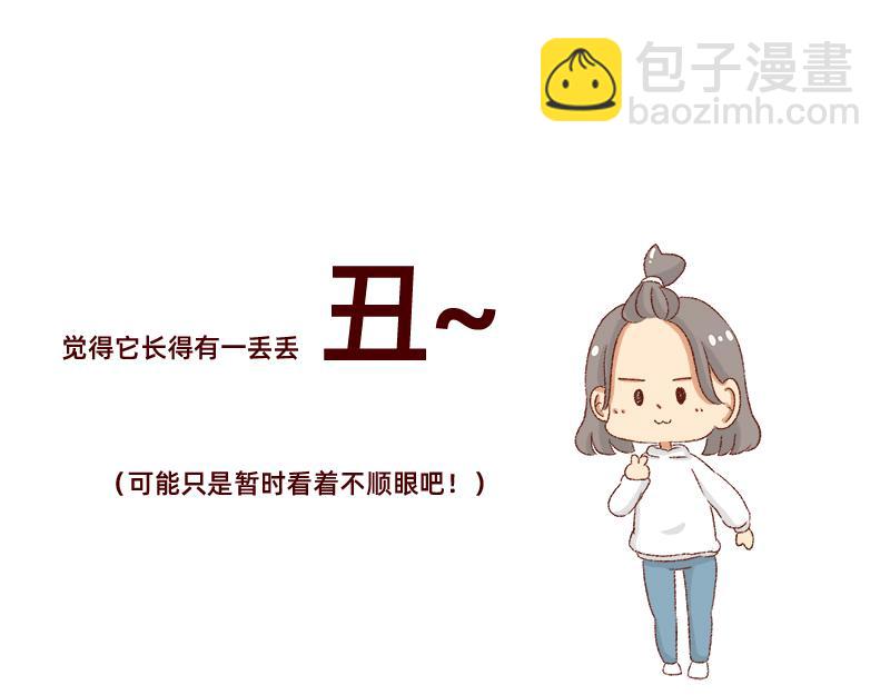 🍴加零的漫画日记 双11我家来了条单身狗 第8页
