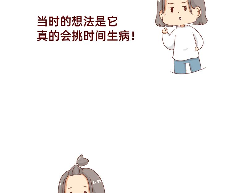 🍴加零的漫画日记 养宠物就要负责到底！ 第11页