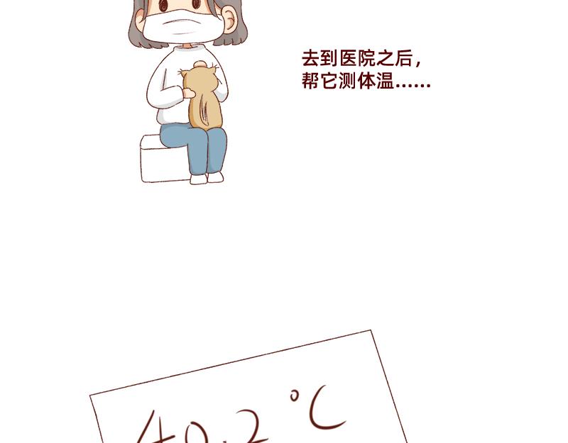 🍴加零的漫画日记 养宠物就要负责到底！ 第12页