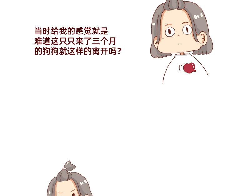 🍴加零的漫画日记 养宠物就要负责到底！ 第15页