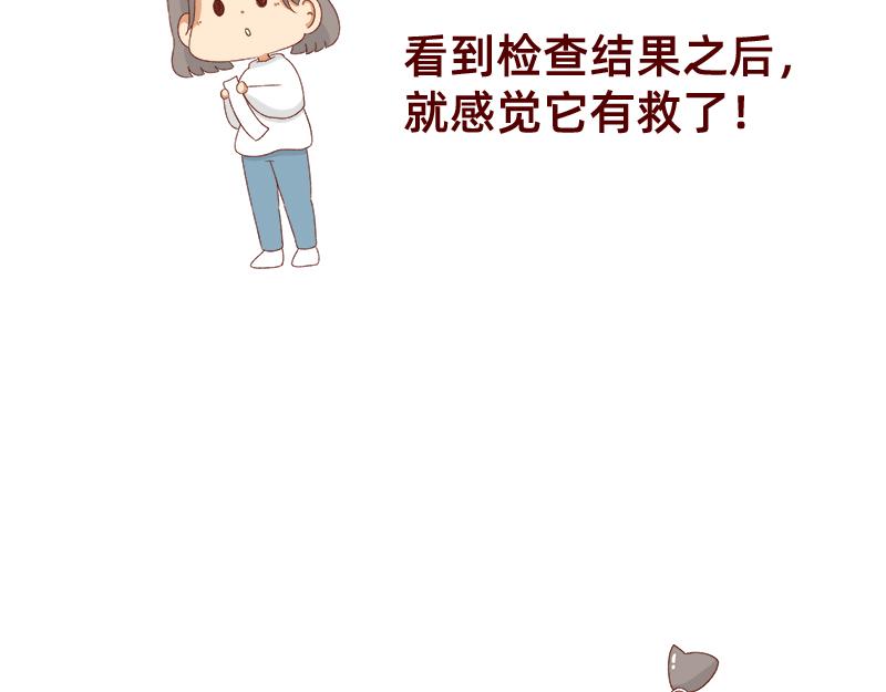 🍴加零的漫画日记 养宠物就要负责到底！ 第16页