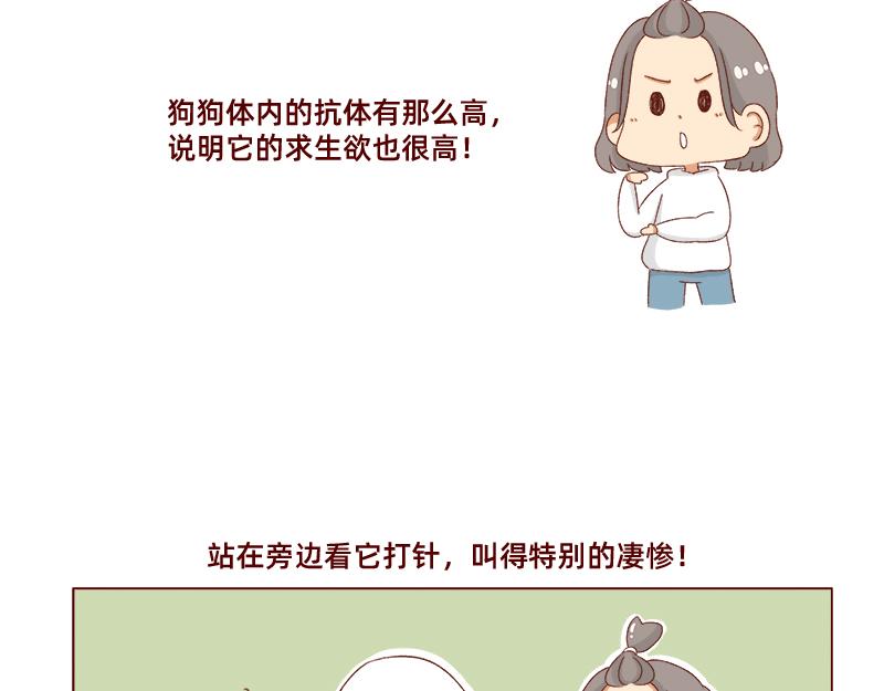 🍴加零的漫画日记 养宠物就要负责到底！ 第17页