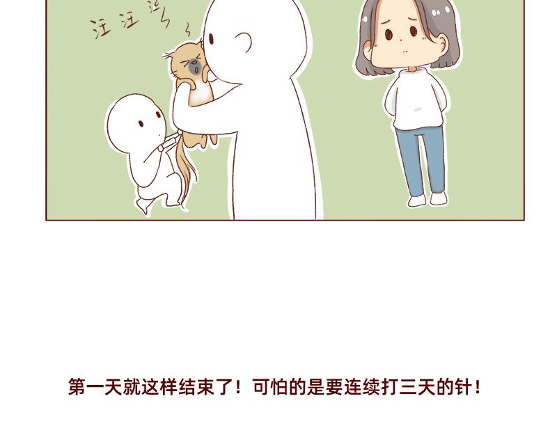 🍴加零的漫画日记 养宠物就要负责到底！ 第18页