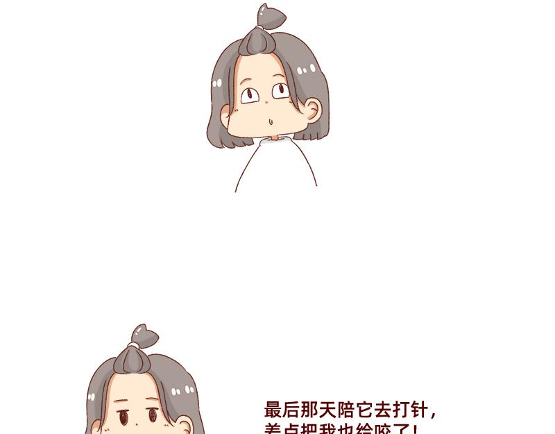 🍴加零的漫画日记 养宠物就要负责到底！ 第19页