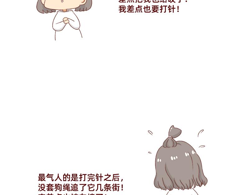 🍴加零的漫画日记 养宠物就要负责到底！ 第20页