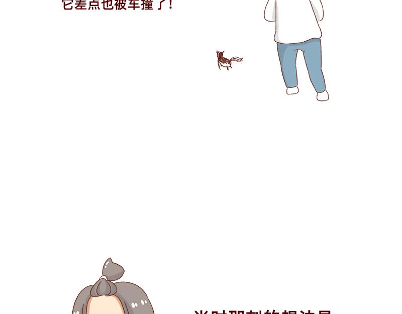 🍴加零的漫画日记 养宠物就要负责到底！ 第21页