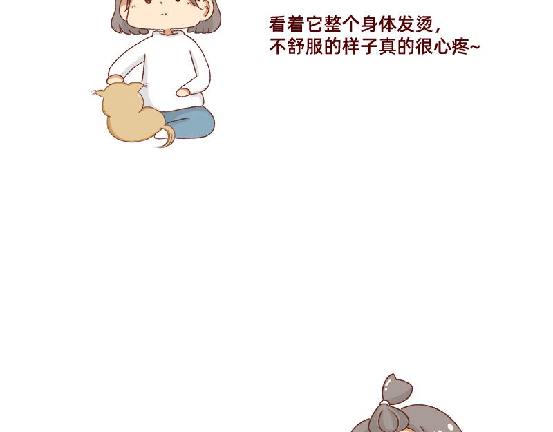 🍴加零的漫画日记 养宠物就要负责到底！ 第6页