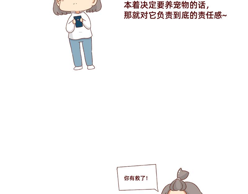 🍴加零的漫画日记 养宠物就要负责到底！ 第8页
