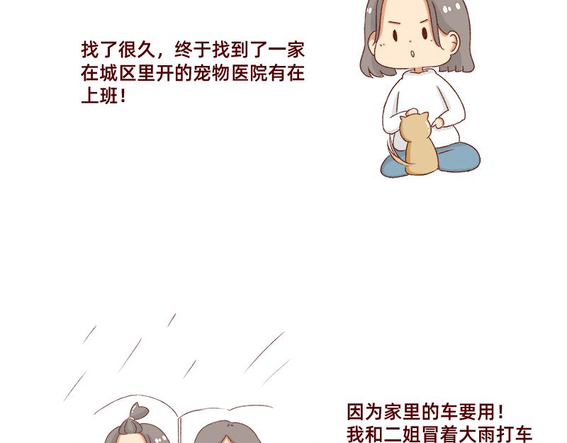 🍴加零的漫画日记 养宠物就要负责到底！ 第9页