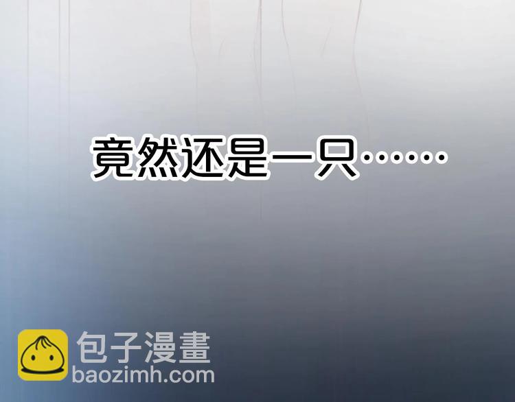 序章 捡到只小狐狸-第1话
