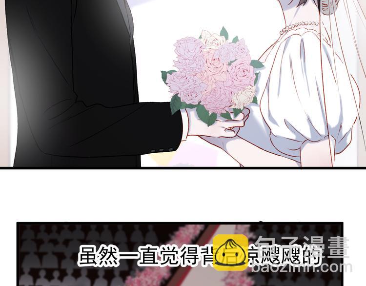 番外 浪漫婚礼(1/2)-第157话