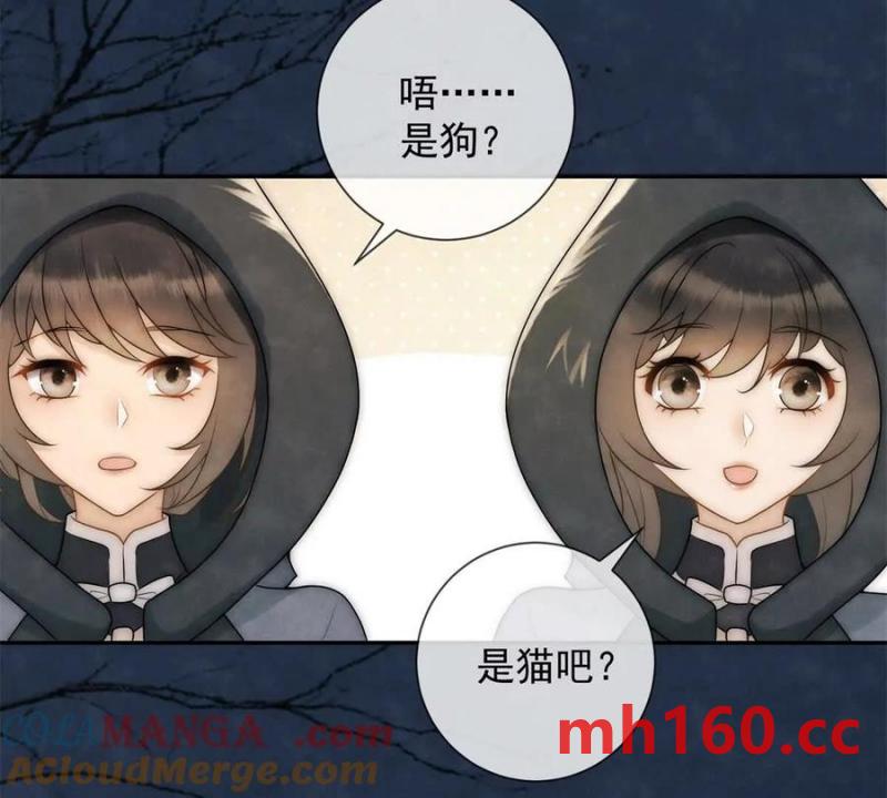 第38话 看冰灯(1/2)-第39话